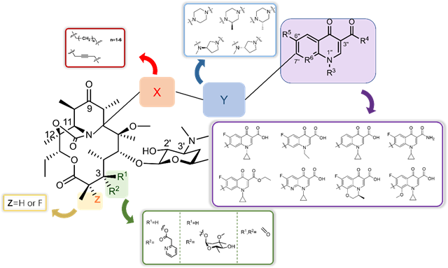d416b63f526243659740ed07a16c64c1.png