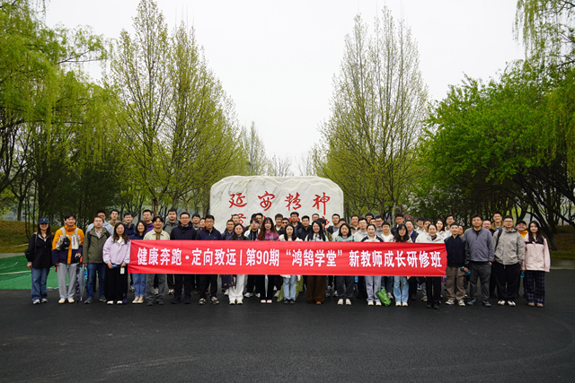 d143132b4e5e4a25866b8759ada05cde.jpg